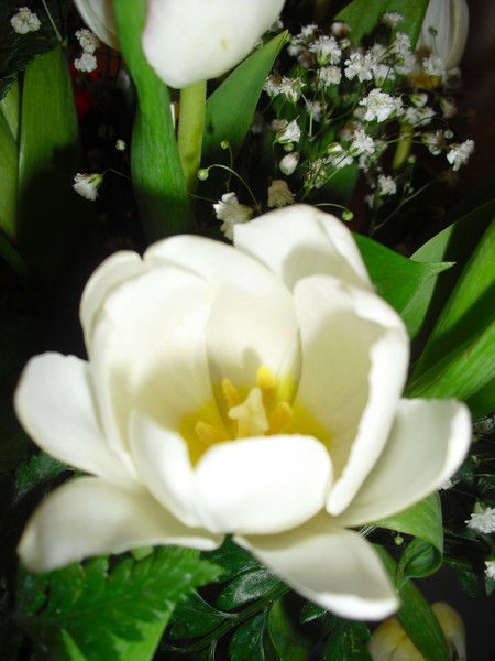 Ирина Васильева