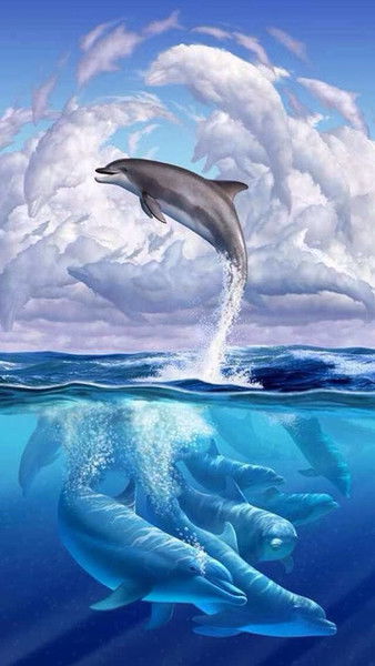 Горшков Николай