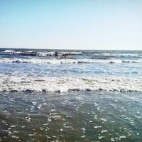 Ольчик Евстафиева