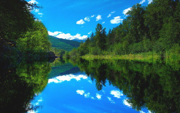 Чапаев Орманшылары