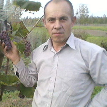 Михаил Меркушев