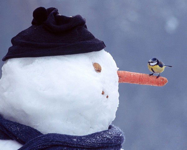 Евгония Кулагина