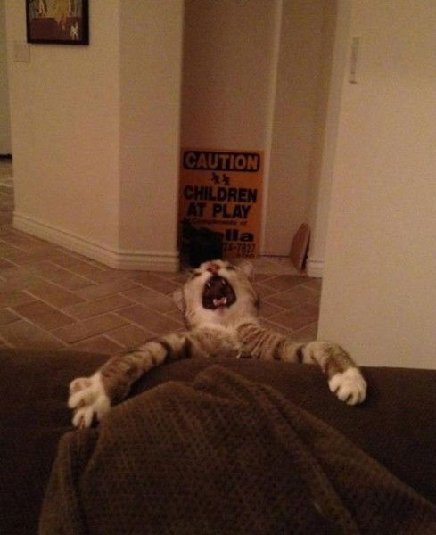 Смерть Идиотам Смерть Идиотам