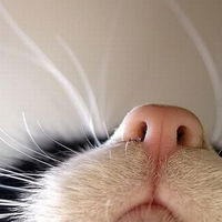 Сергей Казанский