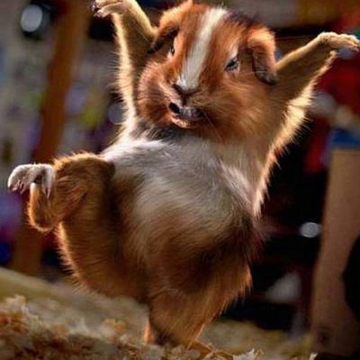 Елена Баинова