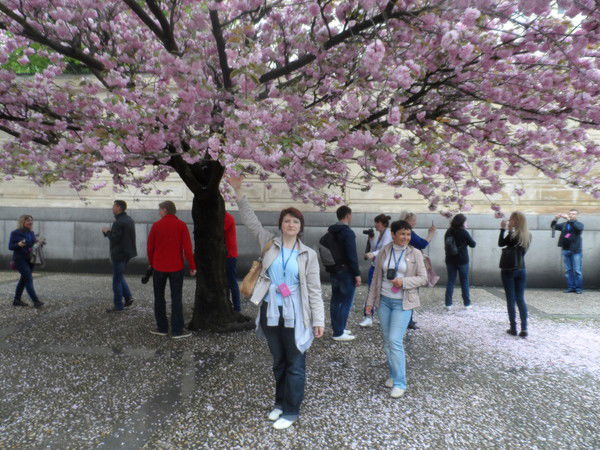 Юлия Макарова