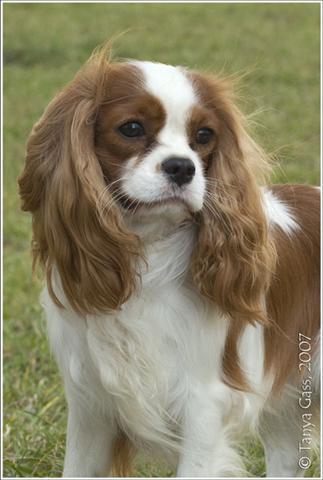 Ирина Курочкина