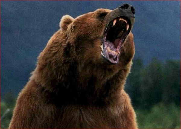 Евгений Кузнецов