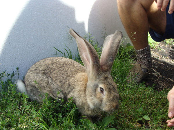 Евгения Кутепова