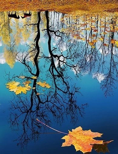 Нелли Катюжанская