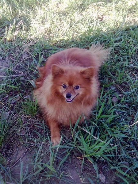 Юлия Фризена