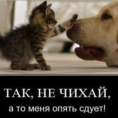 Сергей Пахомов