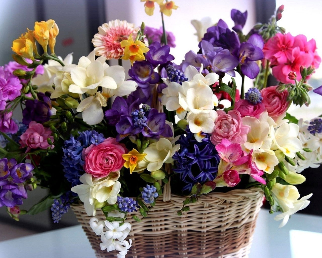 Анна Александрова