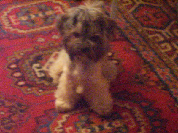 Иван Тепляков