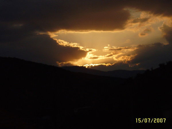 Елена Андреева