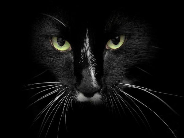 Игорь Беляев