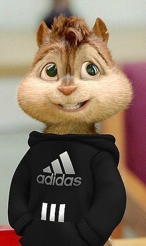 Алим Мизиев