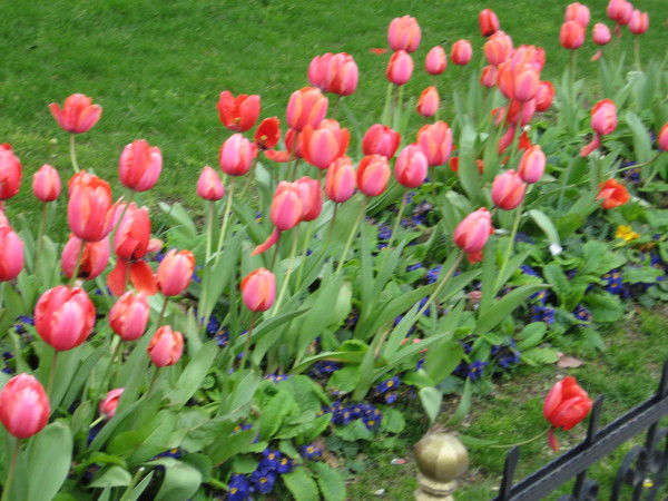 Евгения Шерф