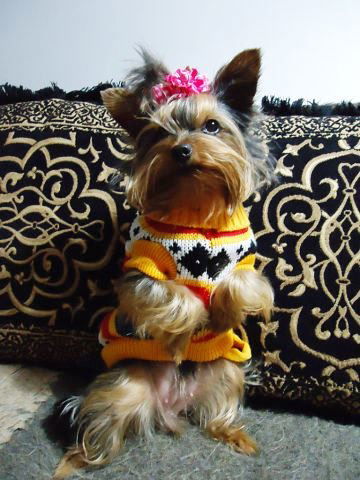 Людмила Цапкова