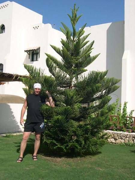 Олег Агапитов