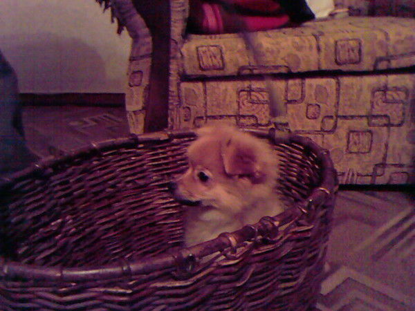 Инна Васильевна