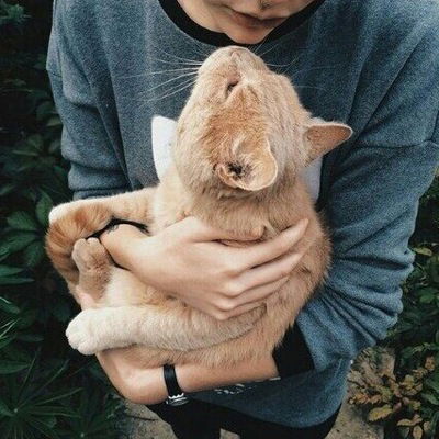 Екатерина Тиличенко