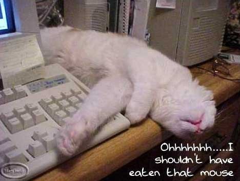 Роман Панарин