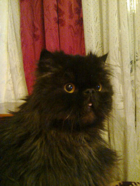 Татьяна Кудина