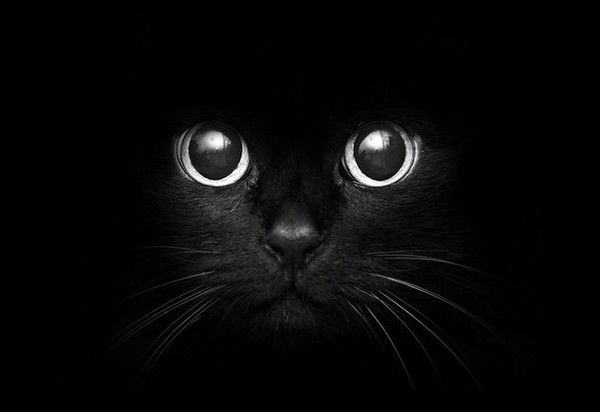 Юлька Капец