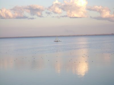 Ирина Нестерова