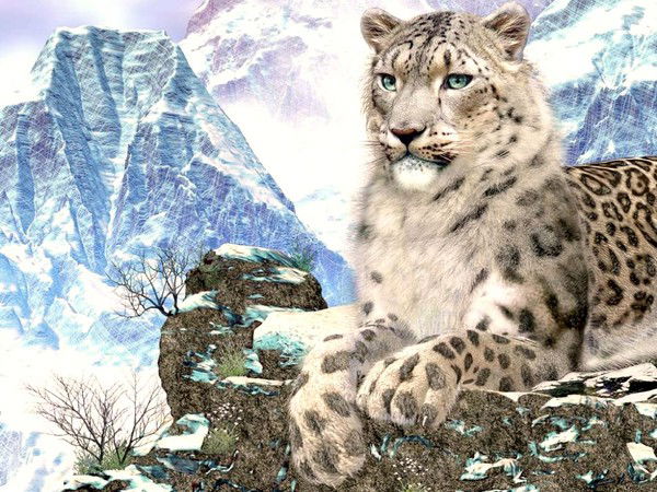 Наталья Князева (Осипова)