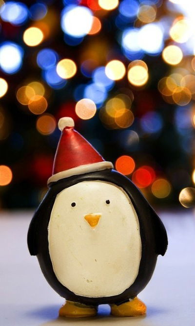 Оксана Бондаренко