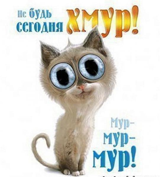 Александра ****************