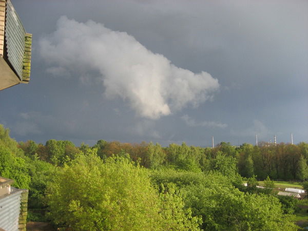 Любовь Силина