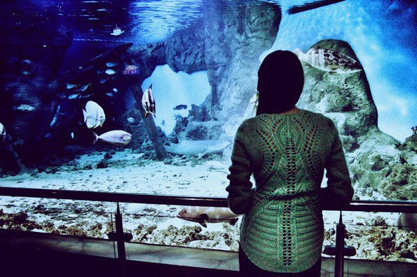 Неизвестно Неизвестно