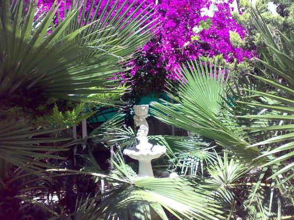 Яна Голядкина