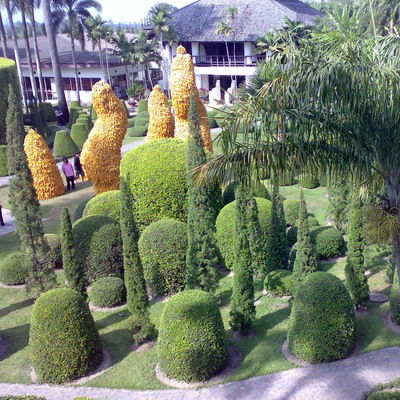 Ганиева Лейла