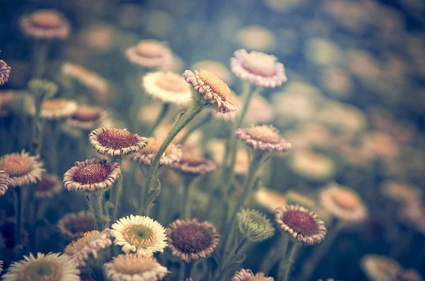 Айка Куандыкова