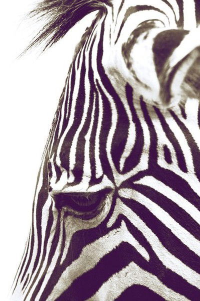 Мария Косова