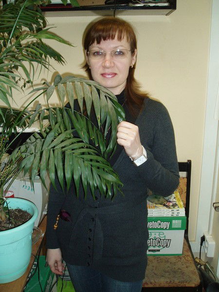 Наталья Войлова