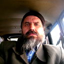 Никола Гаевский
