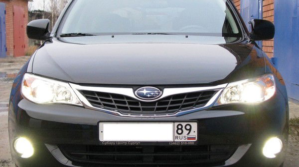 Максим Новгородов