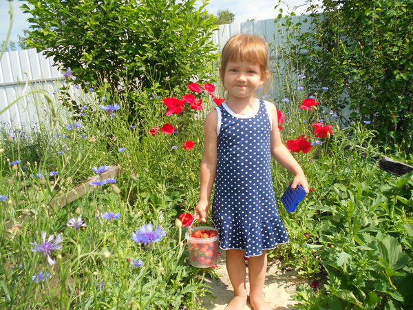 Катюшка Новгородская