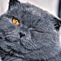 Вячеслав Wanderer