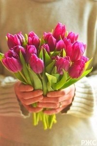 Елена Лемешко