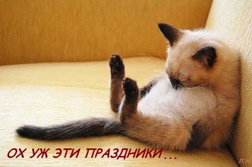 Роман Малой