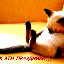 Роман Малой