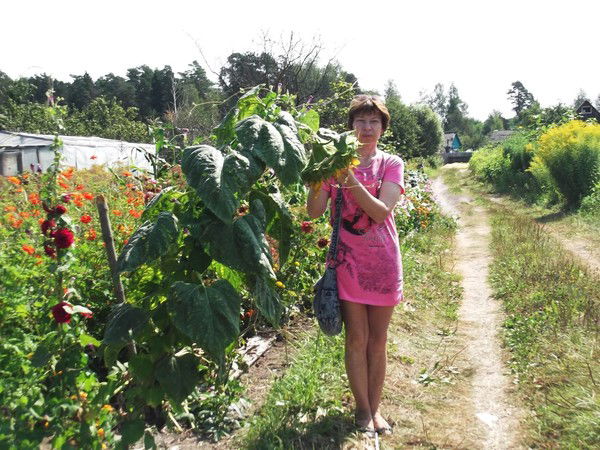 Татьяна Давидович