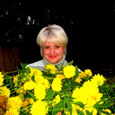 Елена Чекунова
