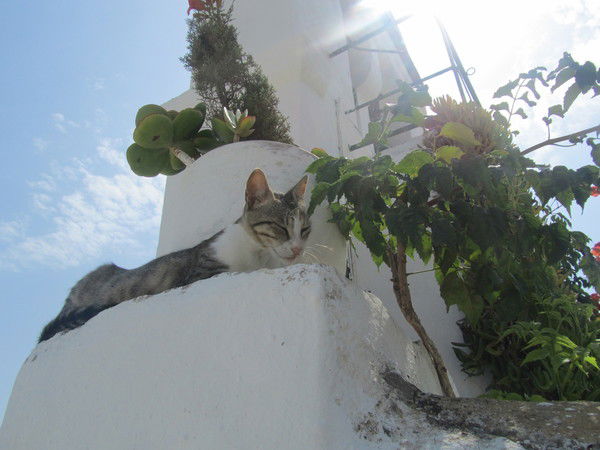 Жанна Чекирева